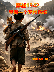 穿越1942：我有一个宠物系统